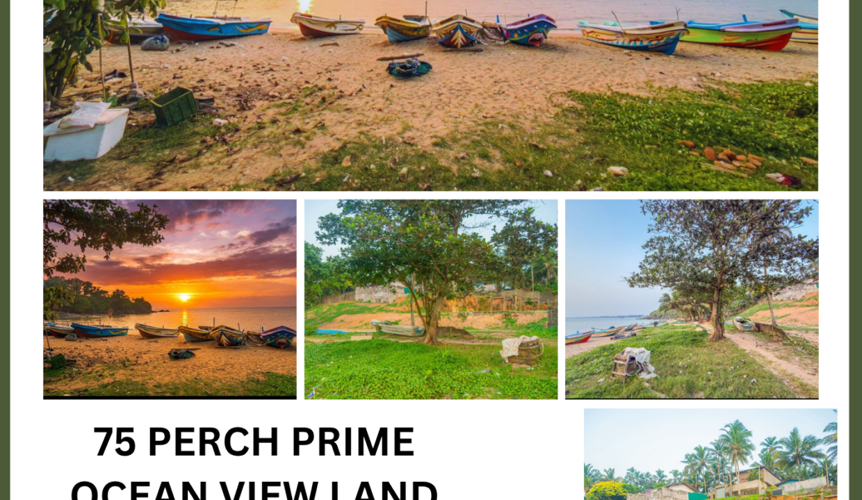 75 Perch Prime Ocean View Land