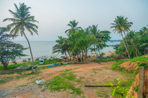 75 Perch Prime Ocean View Land 2 (2)