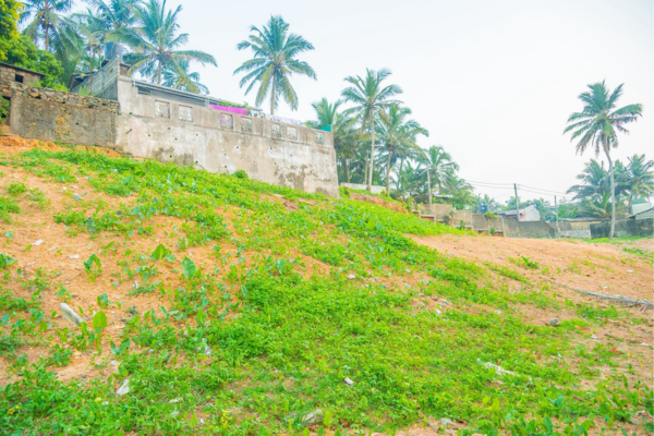 75 Perch Prime Ocean View Land 2 (6)