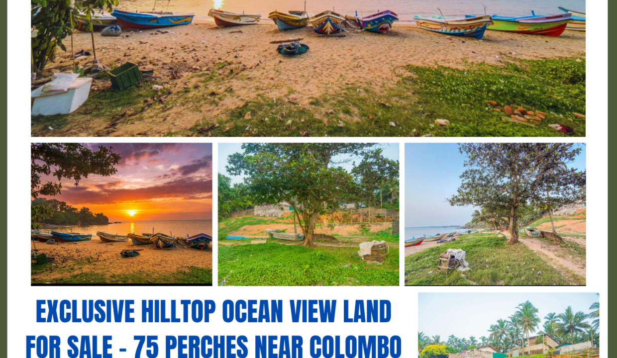 75 Perch Prime Ocean View Land (4)